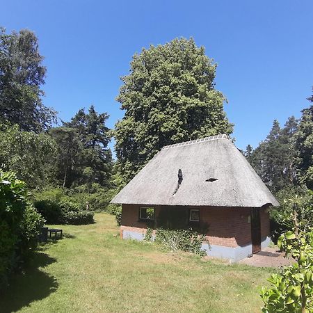 De Hooge Woeste Villa Emst Eksteriør billede