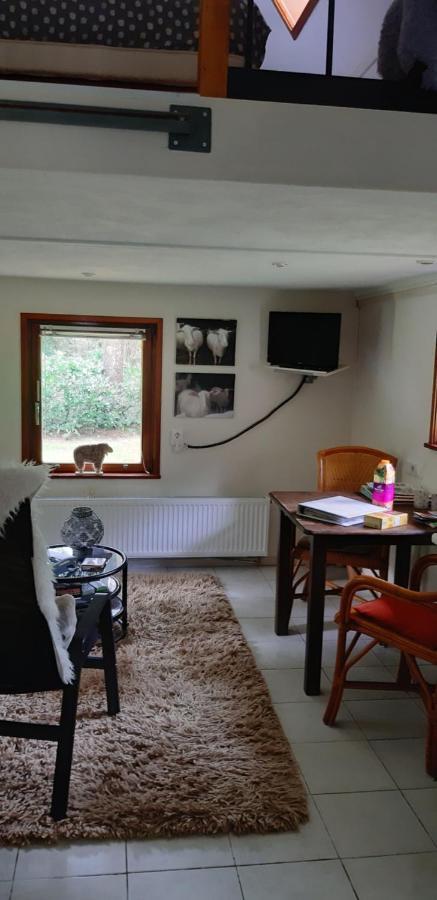 De Hooge Woeste Villa Emst Eksteriør billede