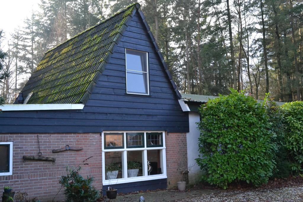 De Hooge Woeste Villa Emst Eksteriør billede
