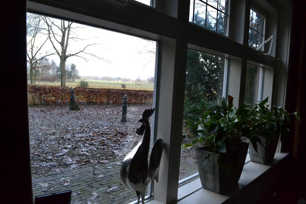 De Hooge Woeste Villa Emst Eksteriør billede