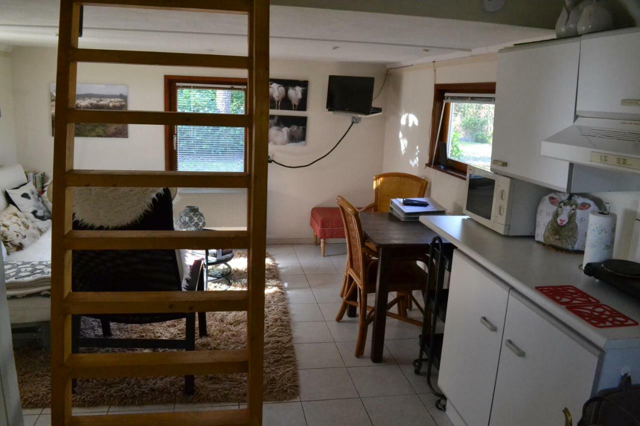 De Hooge Woeste Villa Emst Eksteriør billede